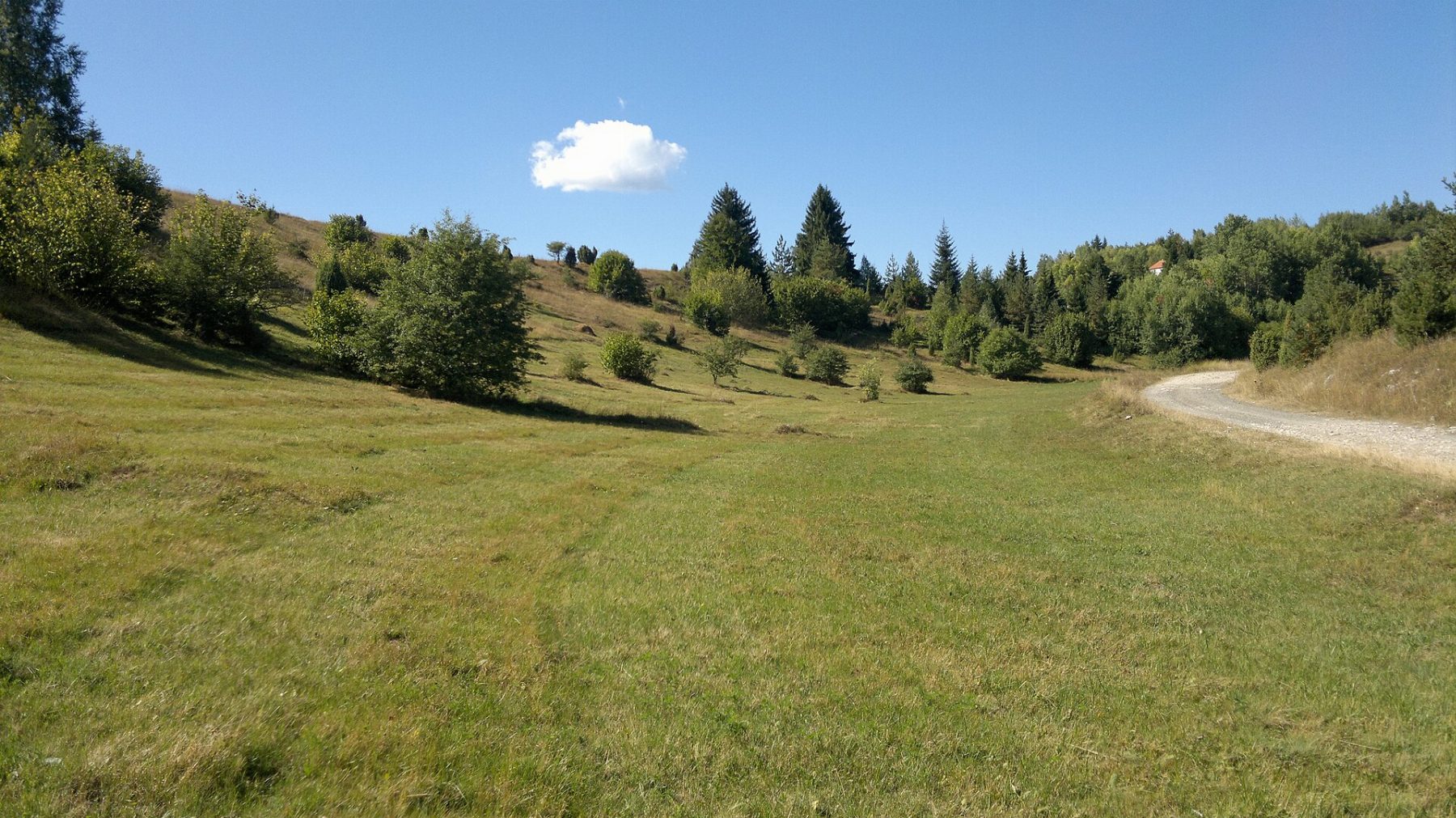 Kaluđerske bare